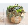 Outdoor Indoor Decor Ceramic Flower Container Pots Mini Planters-A10
