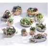 Outdoor Indoor Decor Ceramic Flower Container Pots Mini Planters-Piano