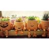 Outdoor/Indoor Decoration/Creative Terracotta Garden&Flower Pots/Planters03