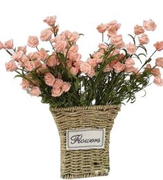 Basket Decoration Flower Basket Garden Pots Glass Woven Can Cultivate Plants(D)